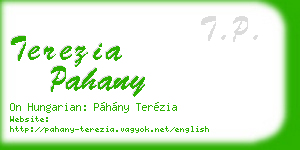 terezia pahany business card