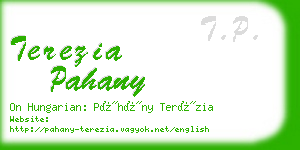 terezia pahany business card